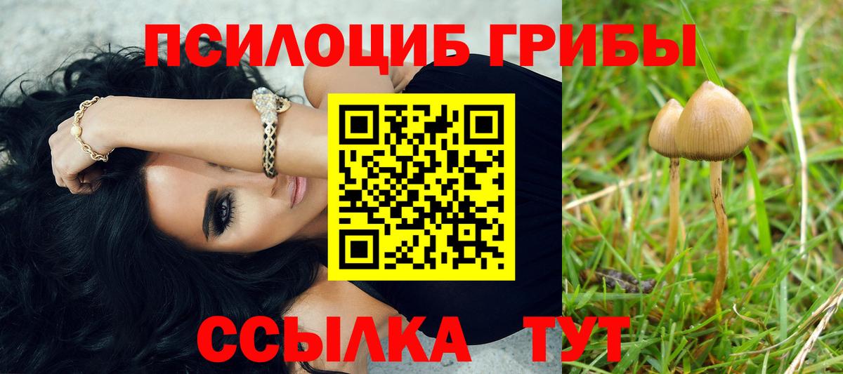 Галлюциногенные грибы ЛСД  Вход с VPN  Сургут  продажа наркотиков  Галлюциногенные грибы ЛСД 