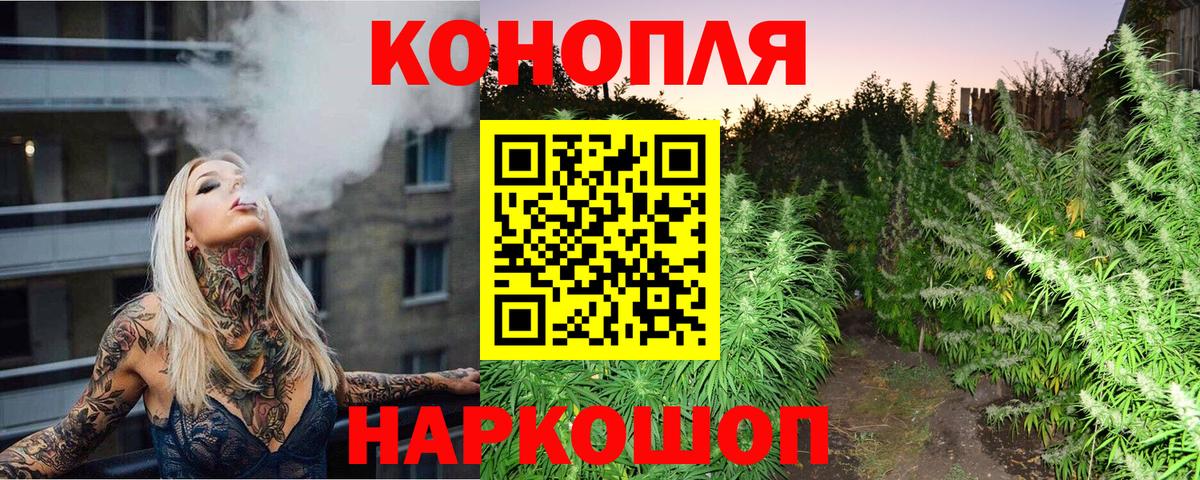 Бошки марихуана индика Сургут